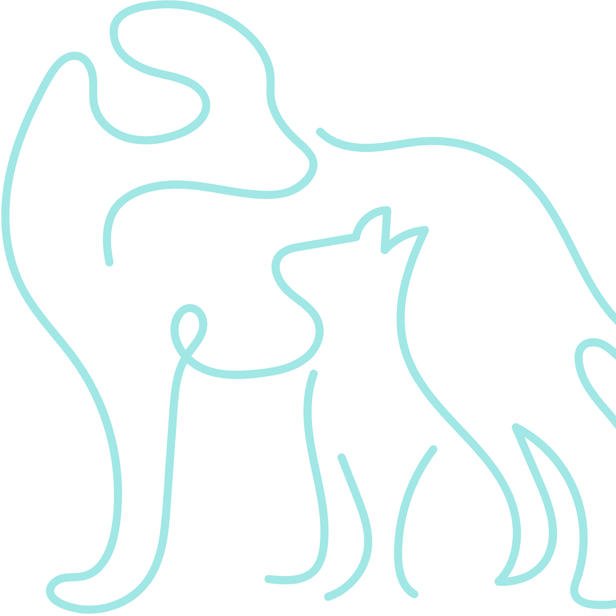 bright teal line art of a dog and cat greeting each other - cropped on right side