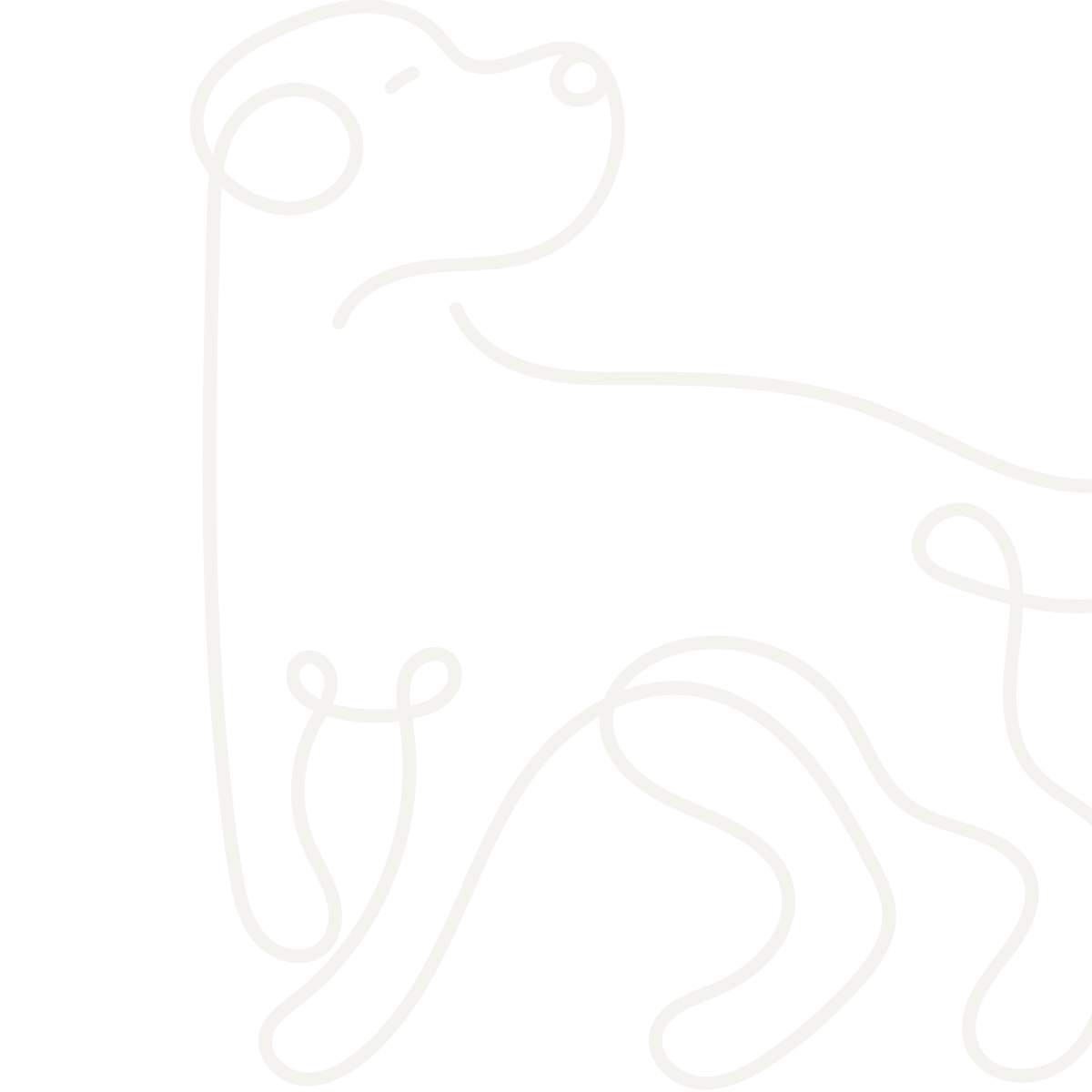 light taupe line art of a dog pausing mid-walk - cropped on right side