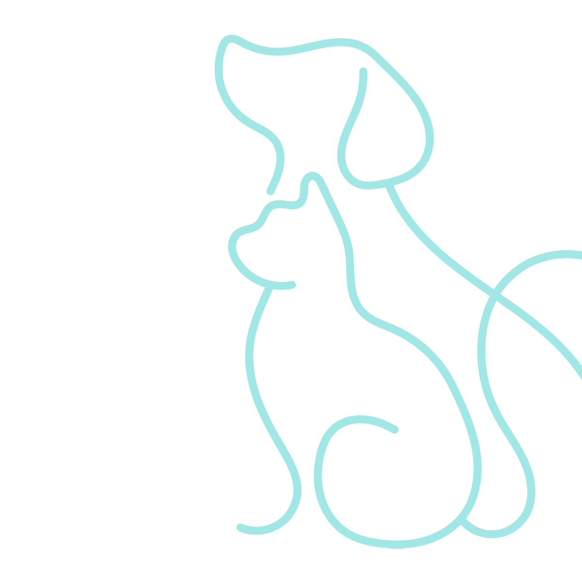turquoise line art of a cat and dog sitting attentively - cropped on right side
