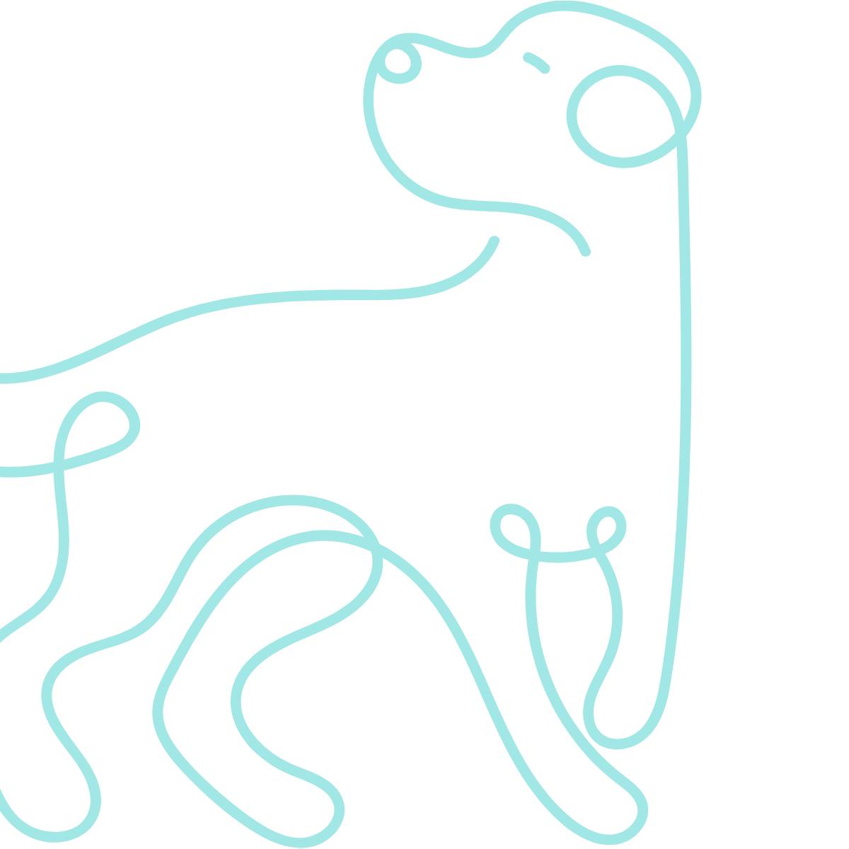 turquoise line art of a dog pausing mid-walk - cropped on left side