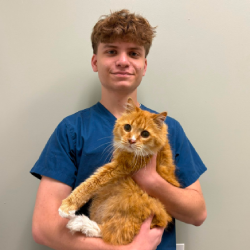 Peleg-Gold_All-Vet-Care A person in a blue shirt holds an orange cat with white paws against a plain light background.